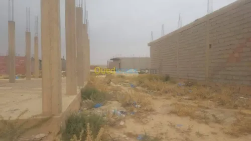 Vente Carcasse Djelfa Djelfa