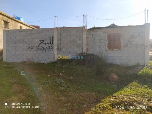 Vente Terrain El taref Bouhadjar