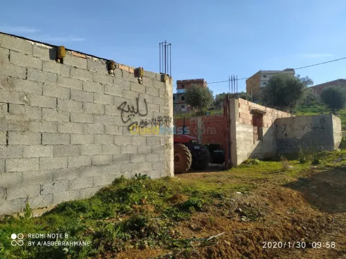 Vente Terrain El taref Bouhadjar