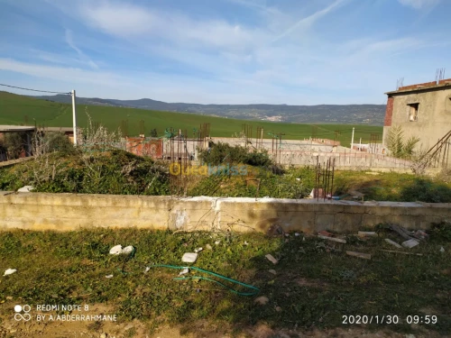 Vente Terrain El taref Bouhadjar