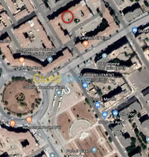 Location Local Sidi bel abbes Sidi bel abbes