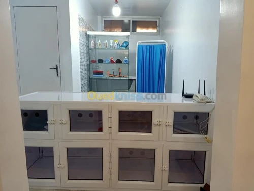 Cabinet Vétérinaire NHLoucif (ALGER)