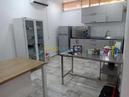 Cabinet Vétérinaire NHLoucif (ALGER)