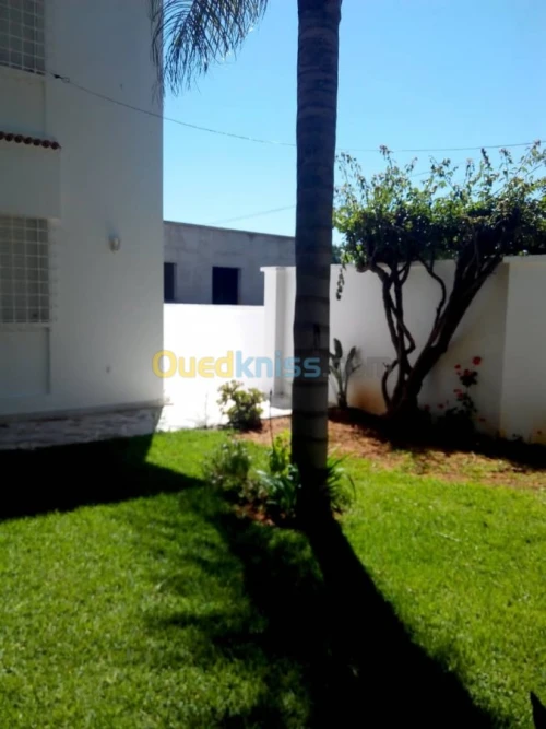 Location Villa Alger Ben aknoun