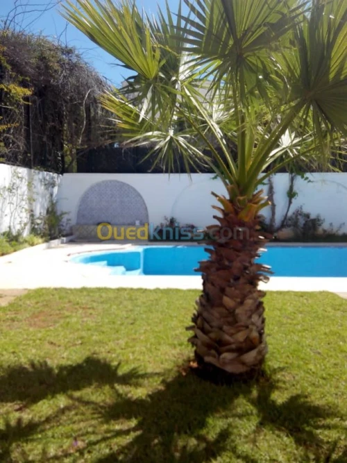 Location Villa Alger Ben aknoun