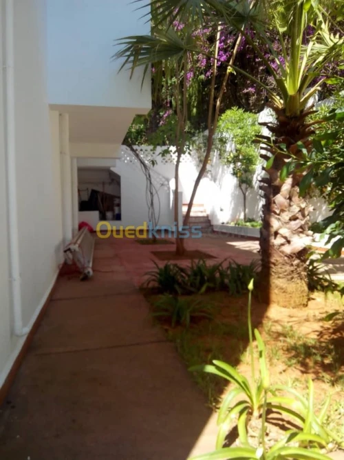 Location Villa Alger Ben aknoun