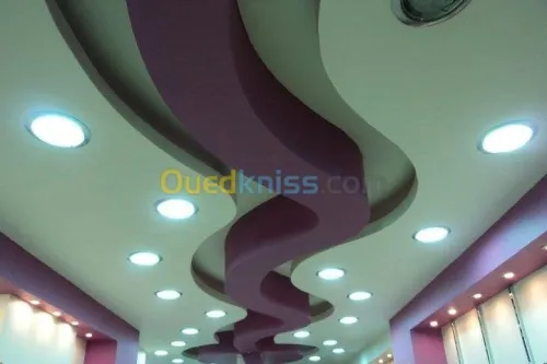 Décoration intérieure Placoplatre/pvc