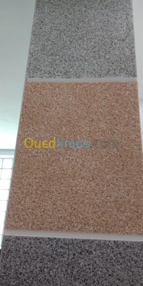 traitement de façade  en monocouche