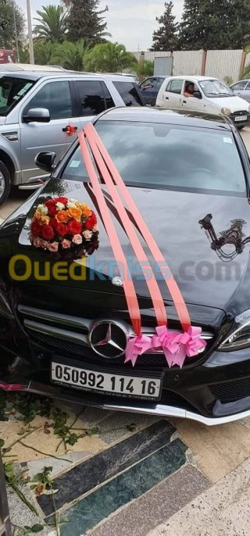 agence location de voiture 