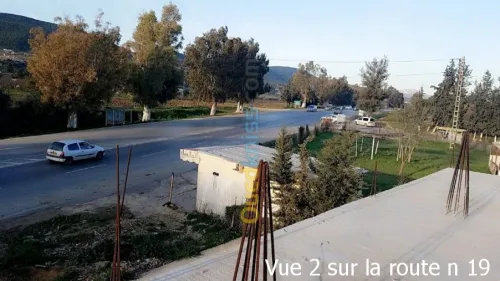 Location Local Chlef Sidi akkacha