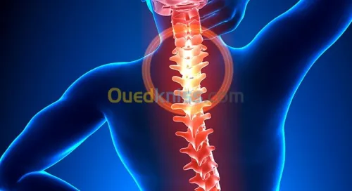 Médecin Spécialiste Rhumatologue 