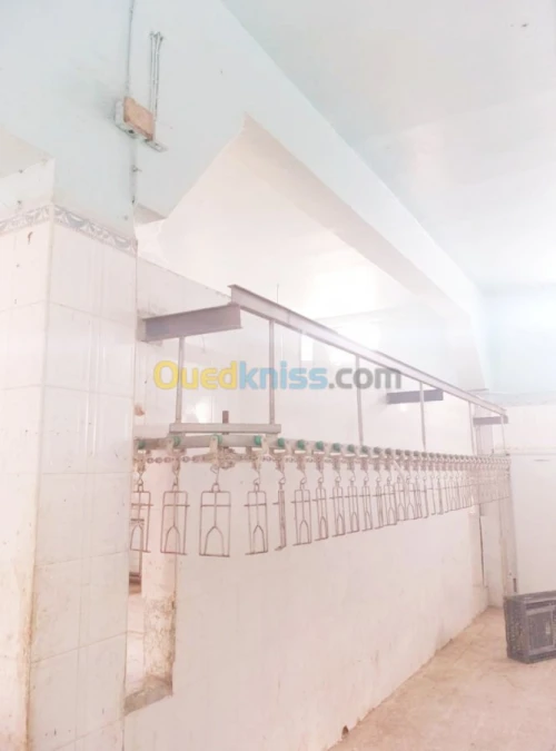 Chambre froide et finisseuse 