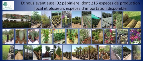 Décoration & Aménagement Espace vert