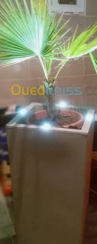Pot de fleur