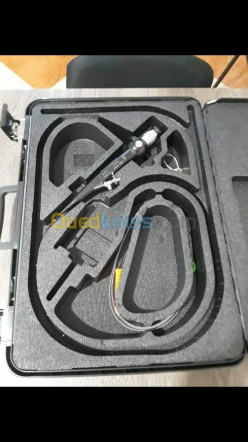 cystoscope  flexible wolf / karl storz