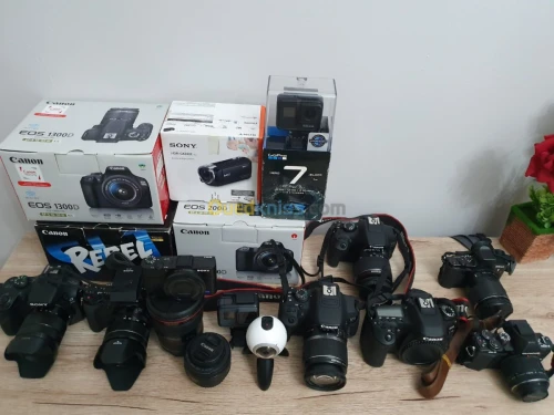 Sony Nikon canon Lumix Fujifilm 
