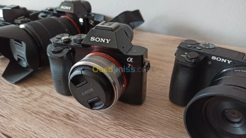 Sony Nikon canon Lumix Fujifilm 