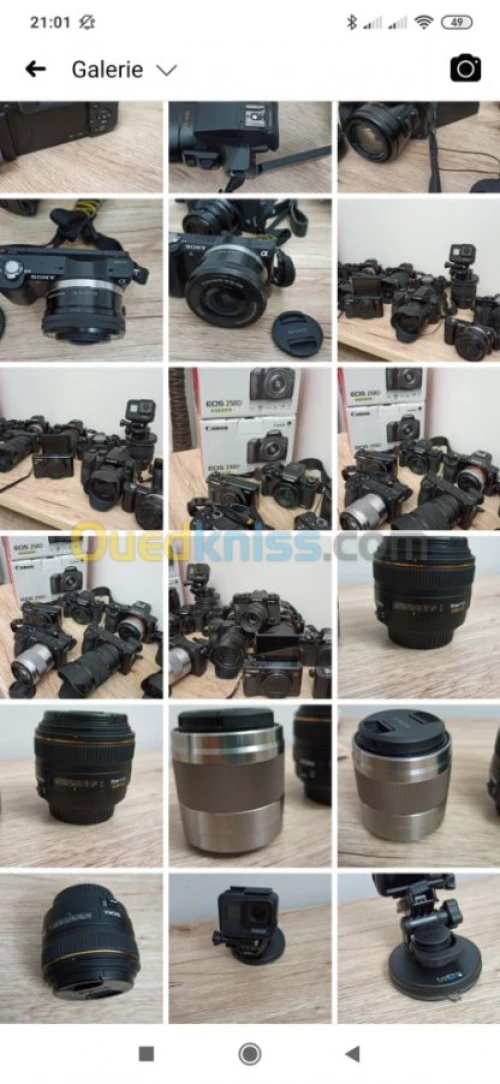 Sony Nikon canon Lumix Fujifilm 