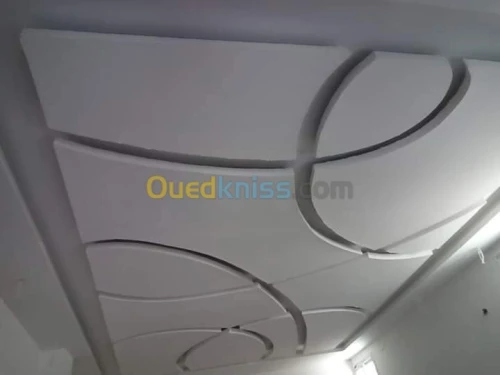 Fournitures et pose BA13 BA10