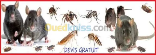 Dératisation, désinsectisation ...
