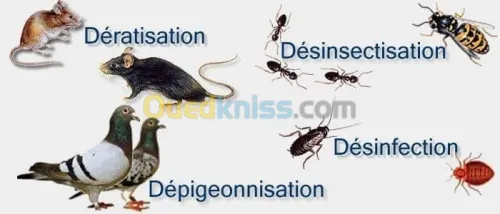Dératisation, désinsectisation ...