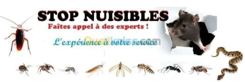 Dératisation, désinsectisation ...