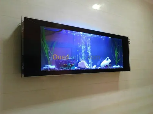 Fabrication et entretien des aquarium 