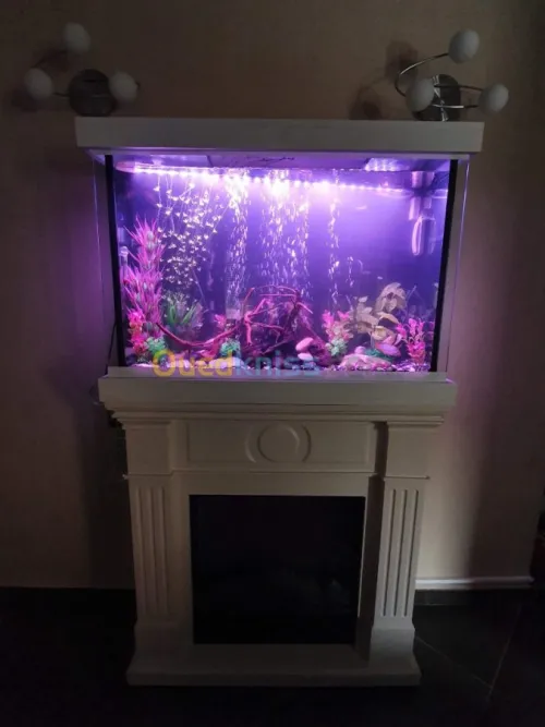 Fabrication et entretien des aquarium 