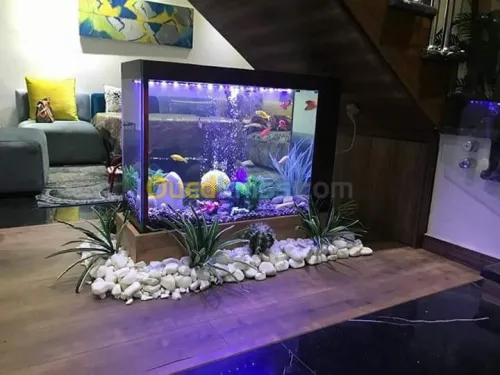 Fabrication et entretien des aquarium 