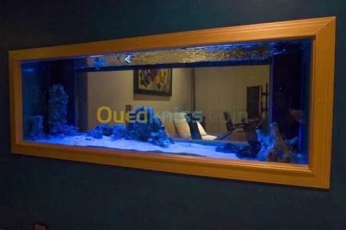 Fabrication et entretien des aquarium 