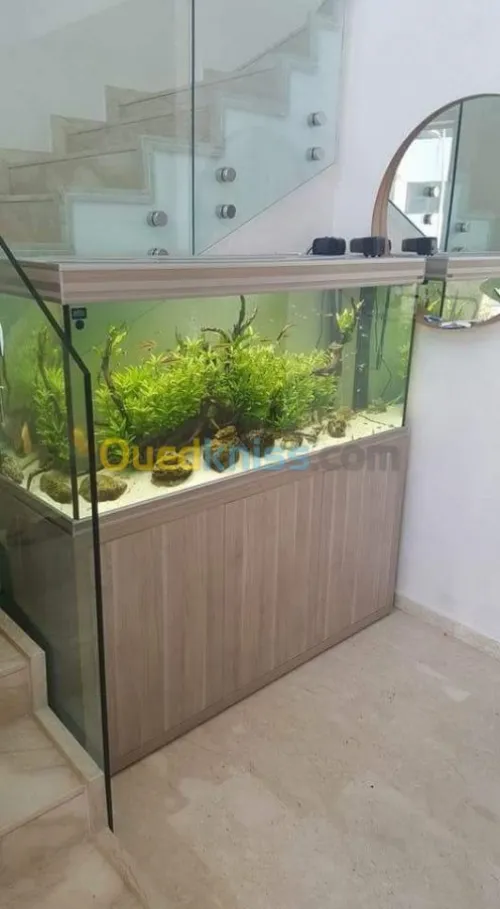 Fabrication et entretien des aquarium 