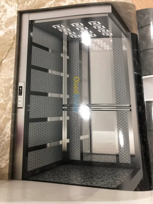  تركيب و تصليح مختلف المصاعد  ASCENSEUR- Monte malade- Monte escalier