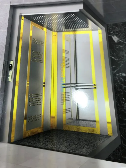  تركيب و تصليح مختلف المصاعد  ASCENSEUR- Monte malade- Monte escalier