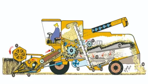 Illustrations & dessins 