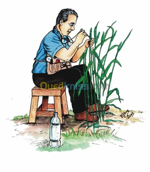 Illustrations & dessins 