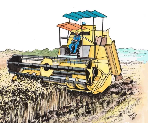 Illustrations & dessins 