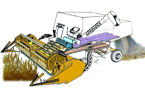 Illustrations & dessins 