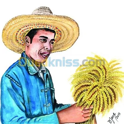 Illustrations & dessins 