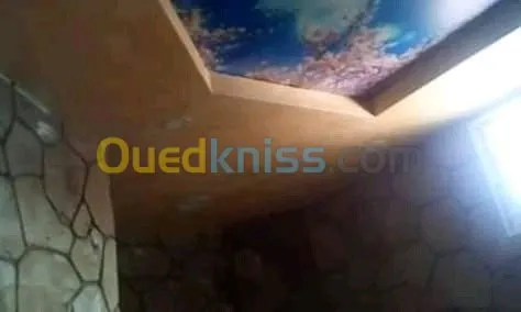 Rénovation intérieure des maisons . 