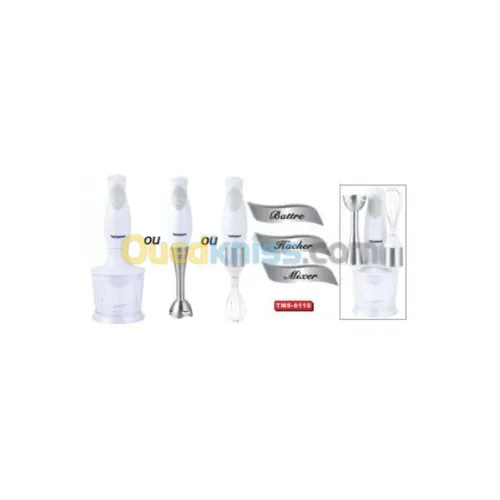 PROMO BRAS MIXER 3EN1 TECHWOOD FRANCE
