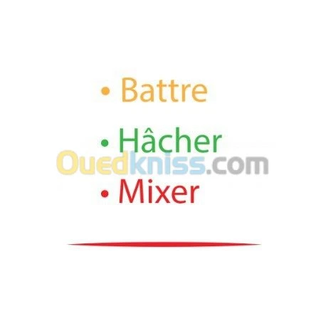 PROMO BRAS MIXER 3EN1 TECHWOOD FRANCE