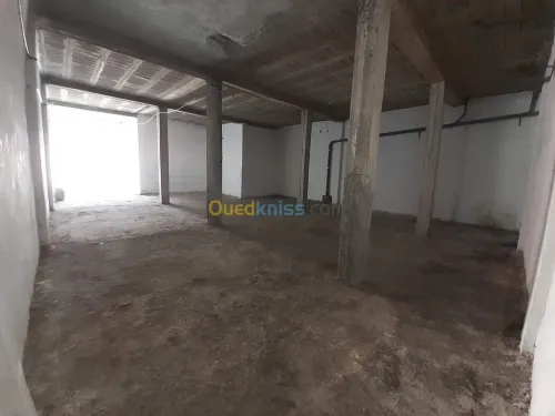 Location Local Tlemcen Chetouane