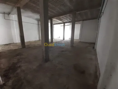 Location Local Tlemcen Chetouane