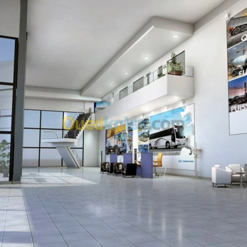 Modélisation / Animation 3D