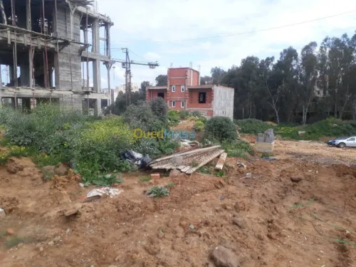 Vente Terrain Boumerdes Boumerdes