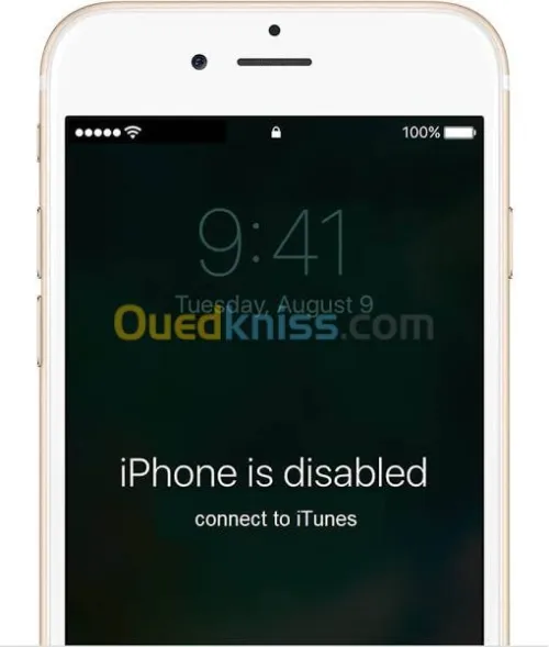 DEBLOQUAGE ICLOUD 100% 