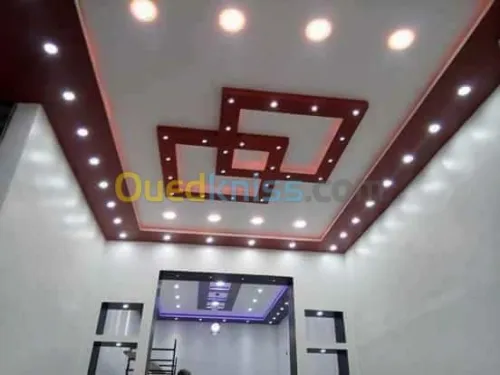 Décoration Placoplatre et pvc 