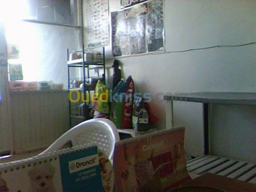 consultation,vaccination,chirurgie