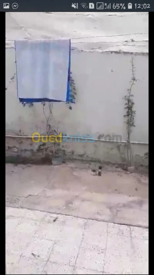 Vente Appartement F3 Tlemcen Ghazaouet