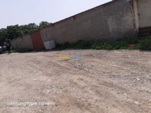 Location Hangar Boumerdes Larbatache
